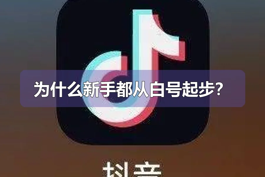 为什么新手都从白号起步？