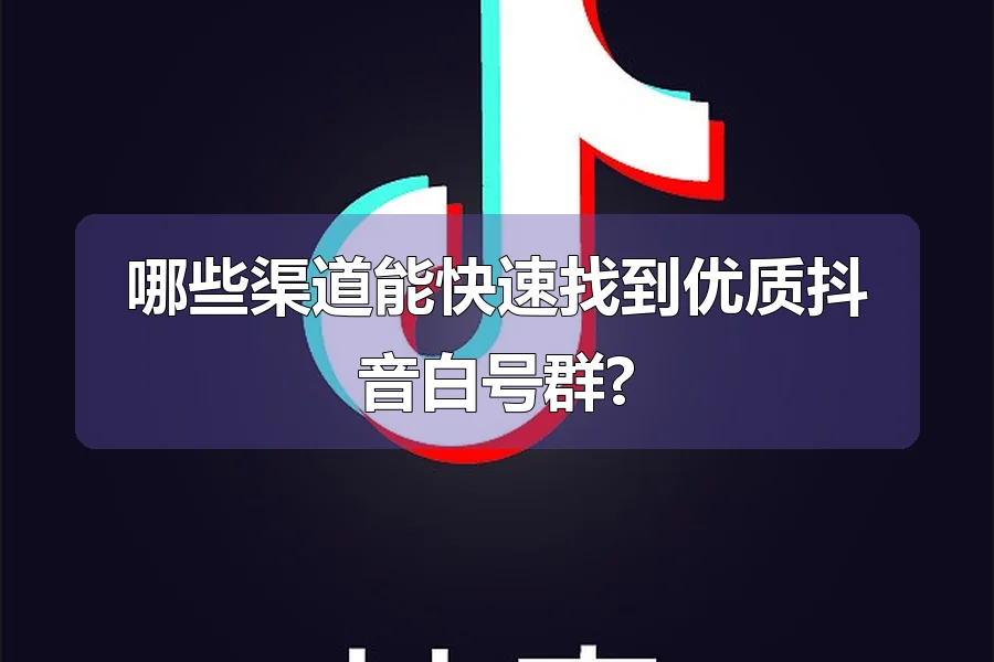 哪些渠道能快速找到优质抖音白号群?
